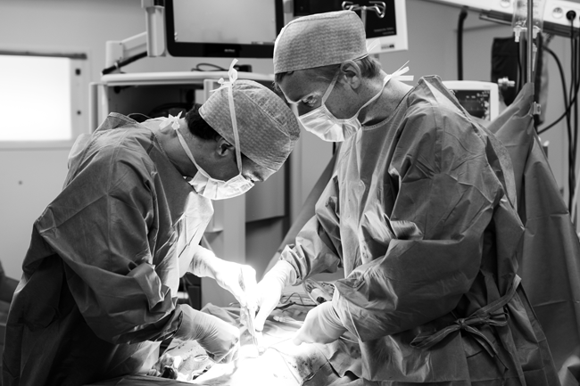 chirurgie ambulatoire