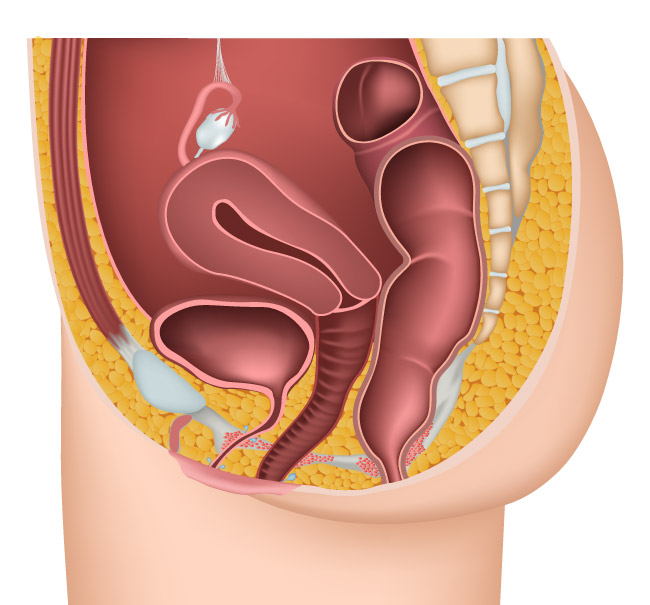 Vessie neurologique à Lyon | CUB - Centre d'Urologie Bellecour-Charcot